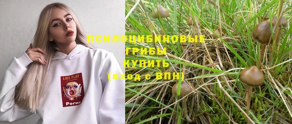 сатива Ладушкин